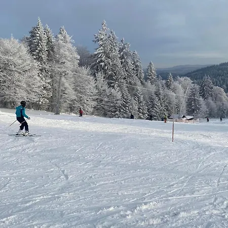 Sofias Alpenpanorama Inkl Aktivcard Bayerischer Wald
