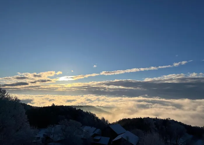 Апартаменты Sofias Alpenpanorama Inkl Aktivcard Bayerischer Wald