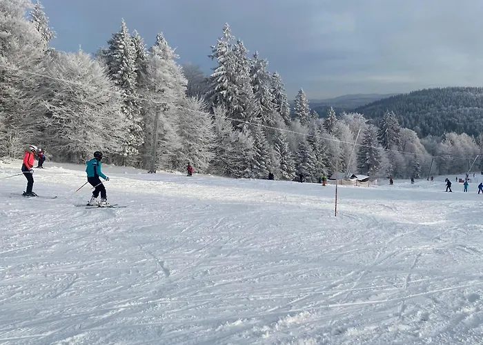 Sofias Alpenpanorama Inkl Aktivcard Bayerischer Wald